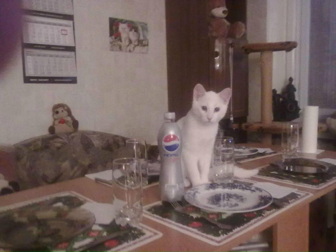 Ирина Григорьева ▀▄▀▄▀▄▀ | Санкт-Петербург