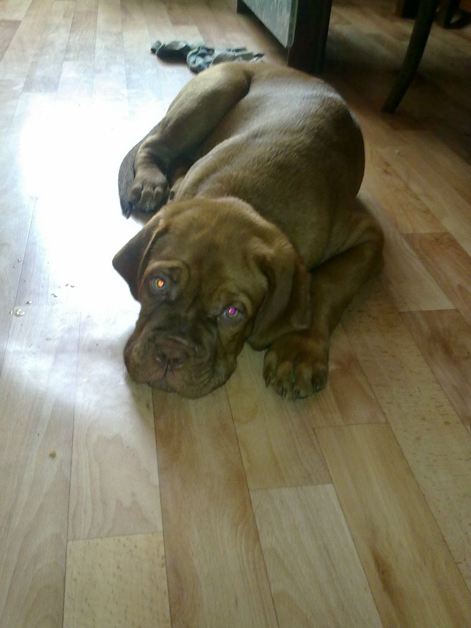 Артем Кольт | 