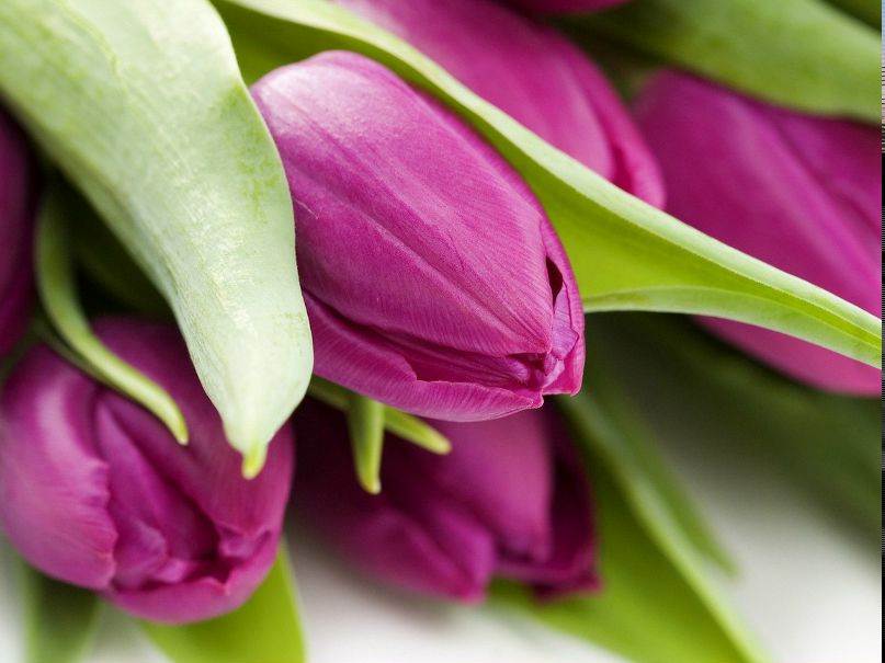 Евгения Смольникова | Оренбург