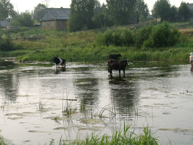 Евгений Сизоненко | Ульяновск