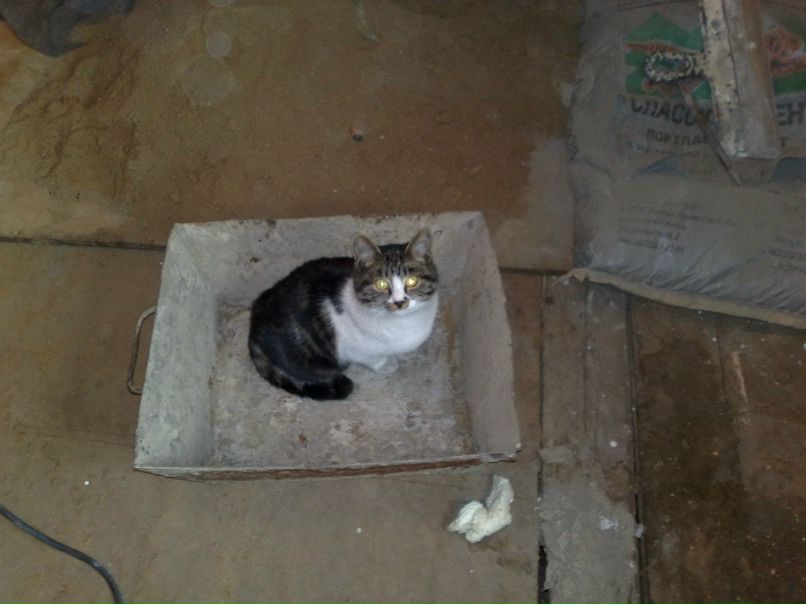 Павел Брюхов | Елово