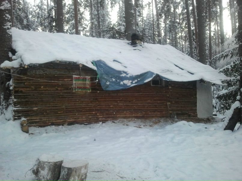 Александр Сайко | 