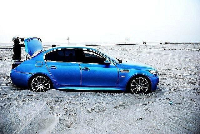 Александр Курзанцев | 