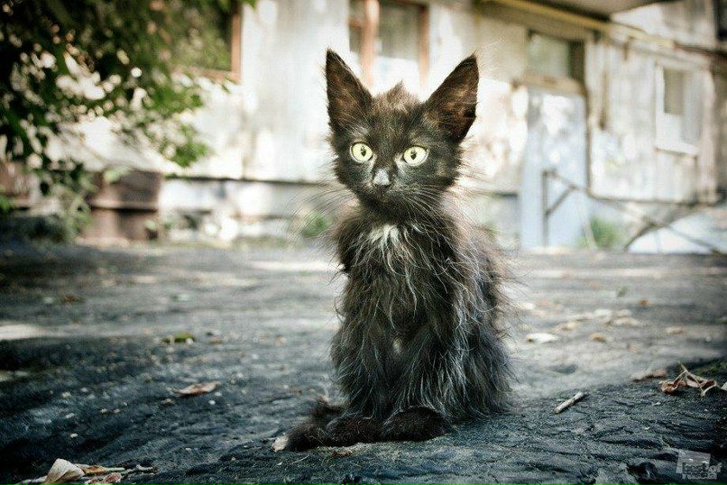 Андрей Шацких | Москва