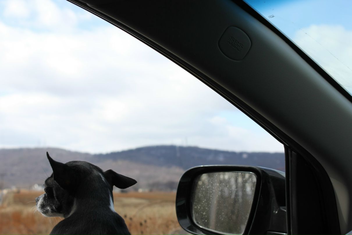 Юлия Дудрова | Екатеринбург