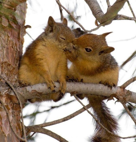 Олеся Харькова | Харьков