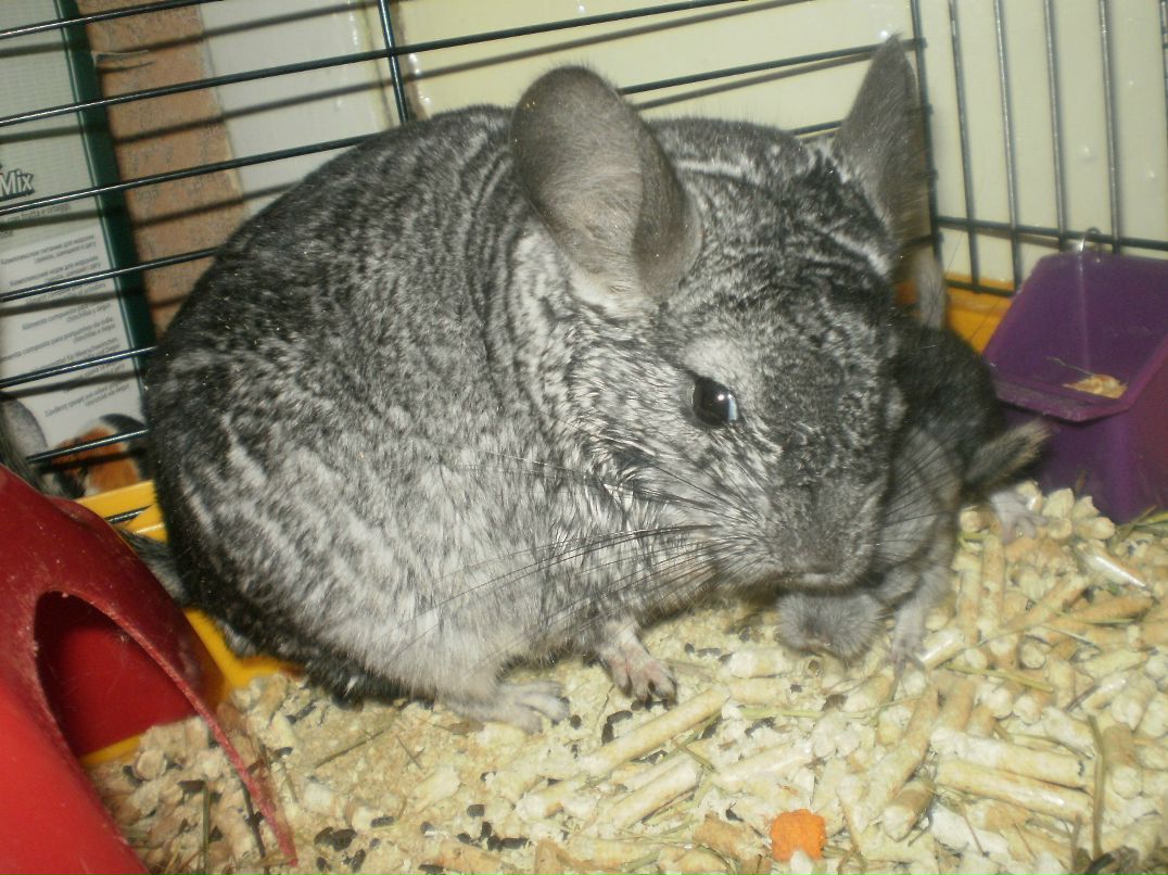 Марина Хромова ☜♡☞ | Гаврилов-Ям