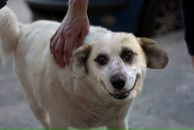 №3 Григорий Зобенко 02.03.1980: профиль, фото, статус - ВКонтакте