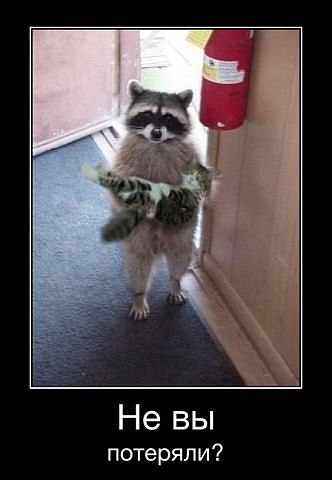 Алёна Замышляева | Луна