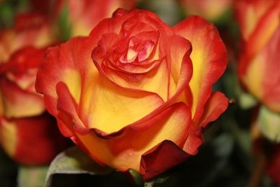 Регина Ильмурзина | Уфа