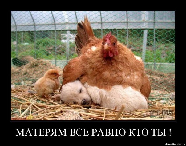 №18, Богдан Прокопенко, 34 года, Киев №18, Богдан Прокопенко, 34 года, Киев