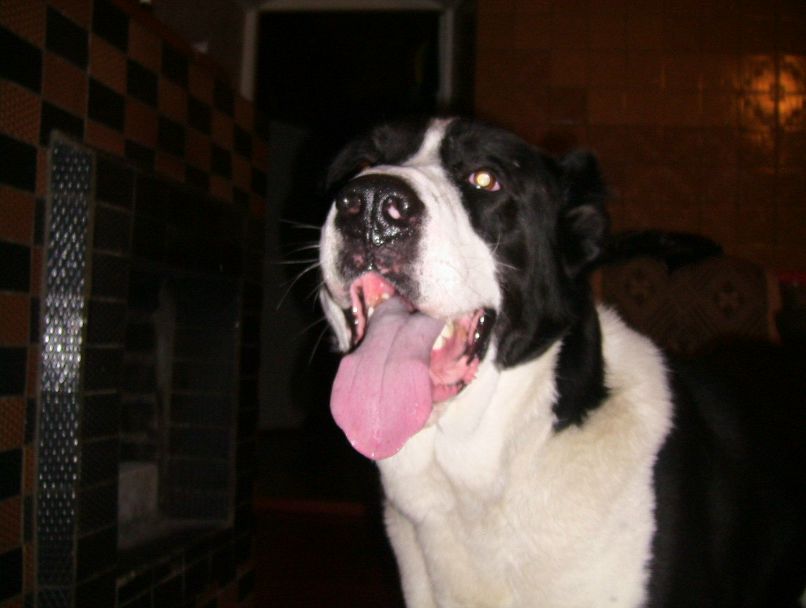 Марина Демосюк | Лахколампи