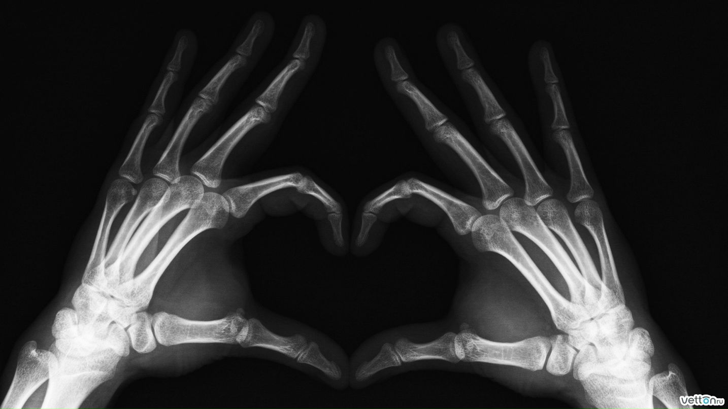 Valentina Reger-Belenkova | Stuttgart