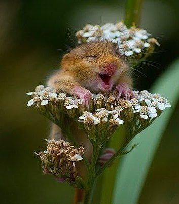 Екатерина Зыбина | Харьков