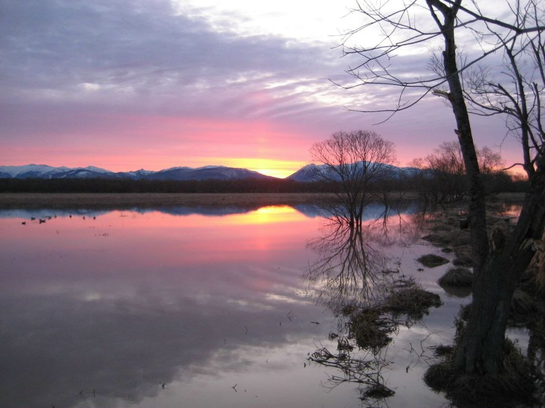Виктория Смирнова | Санкт-Петербург