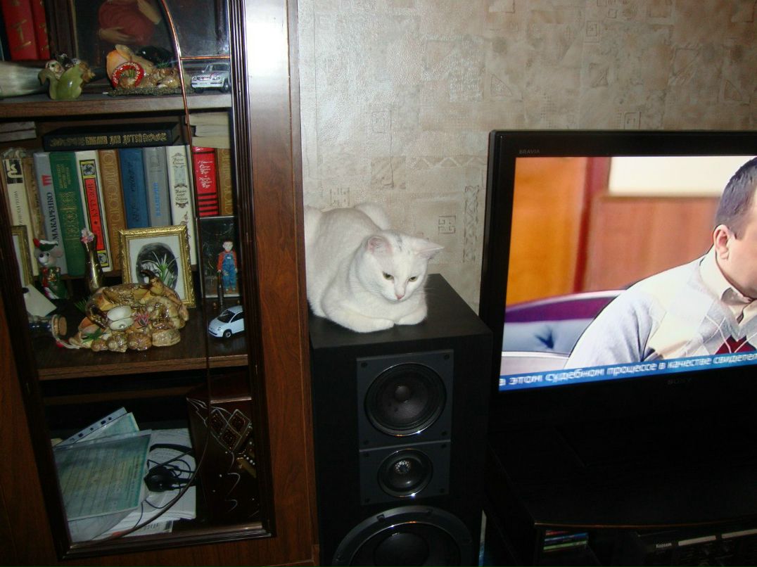 Светлана Кирусова | Великий Новгород