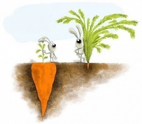 №136, Екатерина Вайник №136, Екатерина Вайник