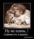 Фотография Кристина Евдокимова