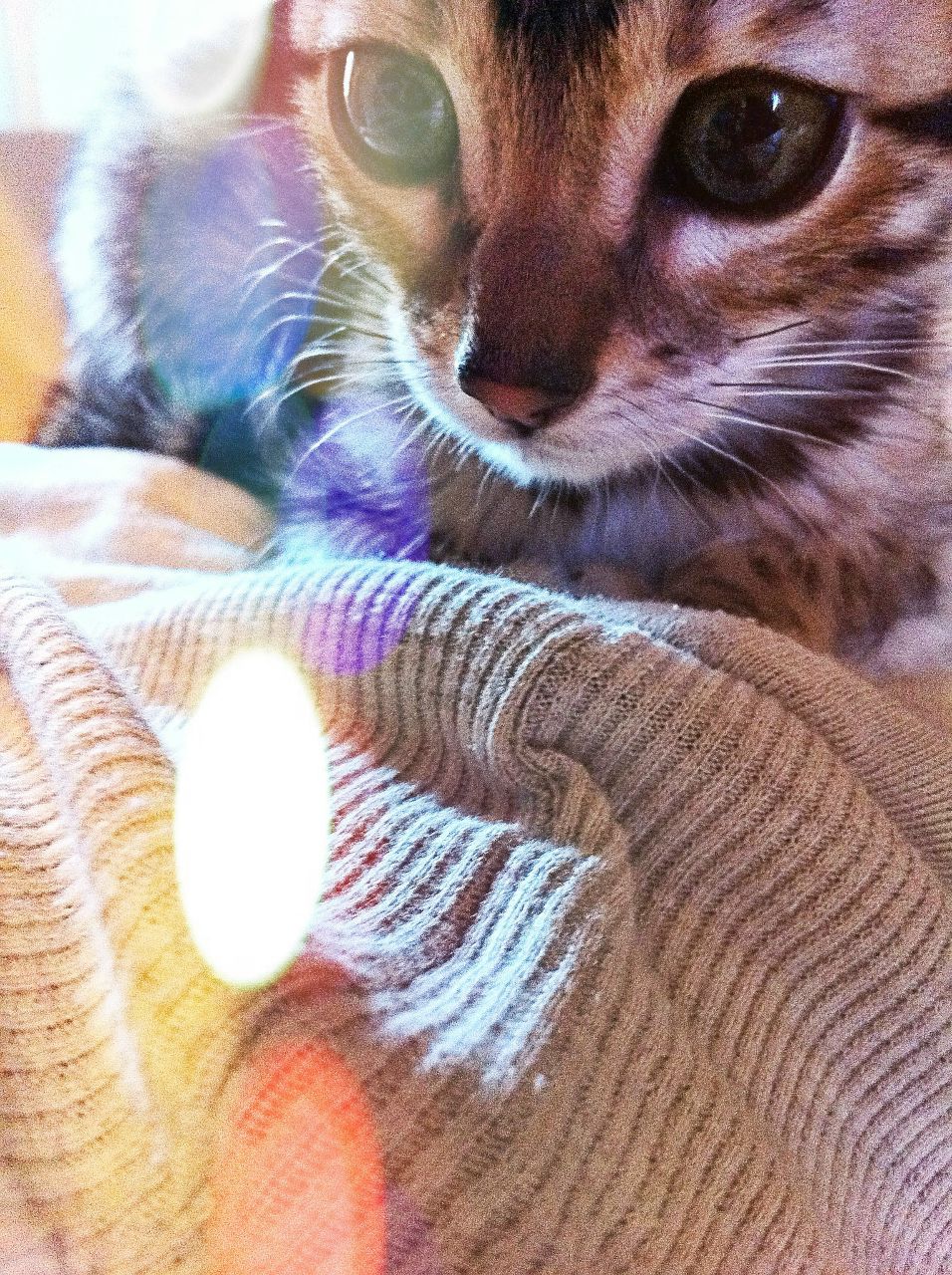 Kate Santa | Москва