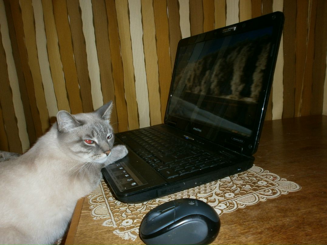 Ольга Верховец | Тюмень