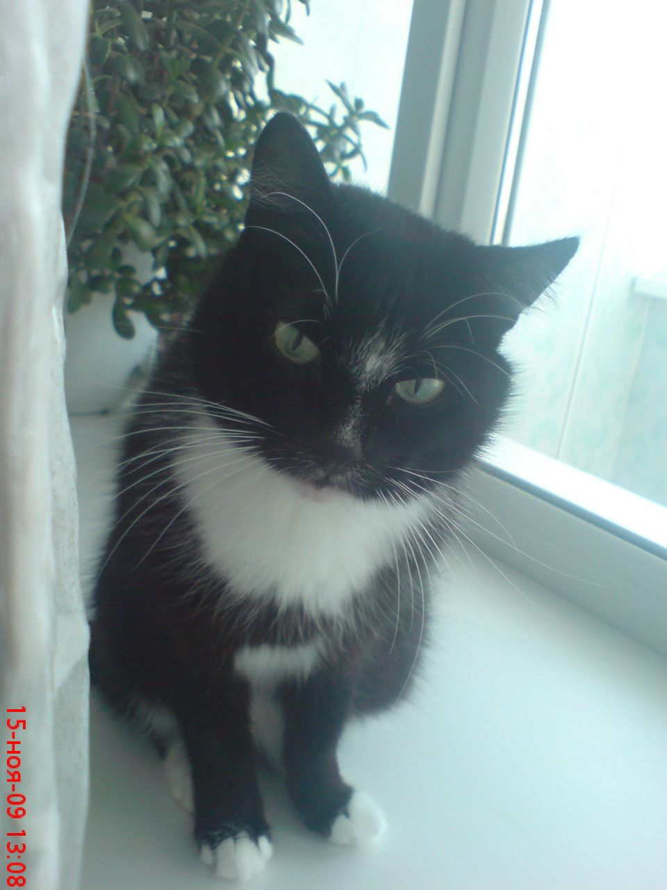 Артем Зубков | Магнитогорск