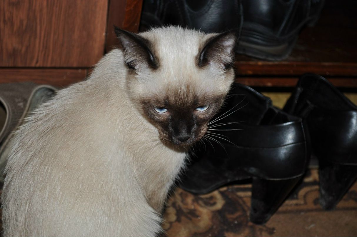 Оксана Дубанова | Москва