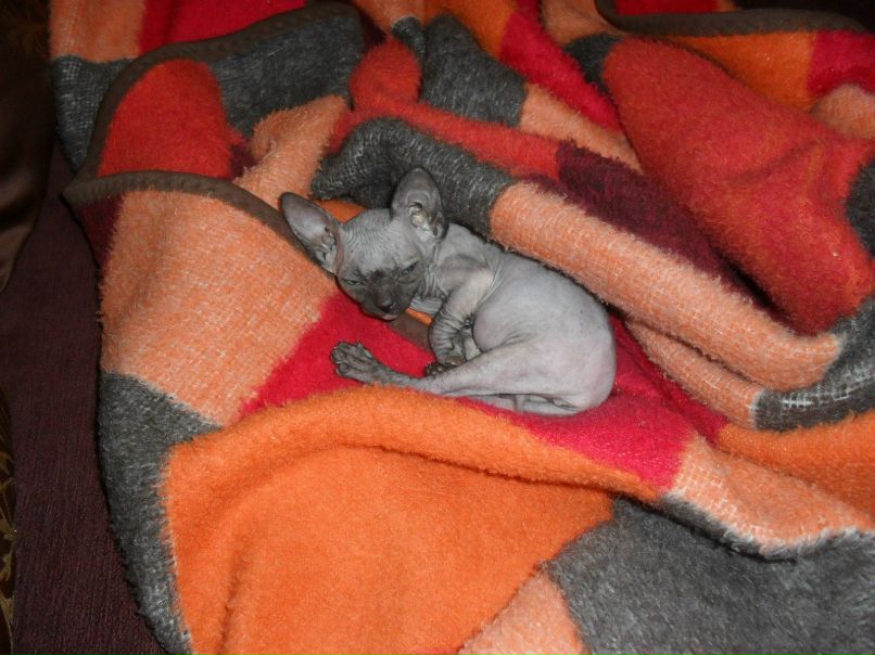 Кристина Сяба | Рязань