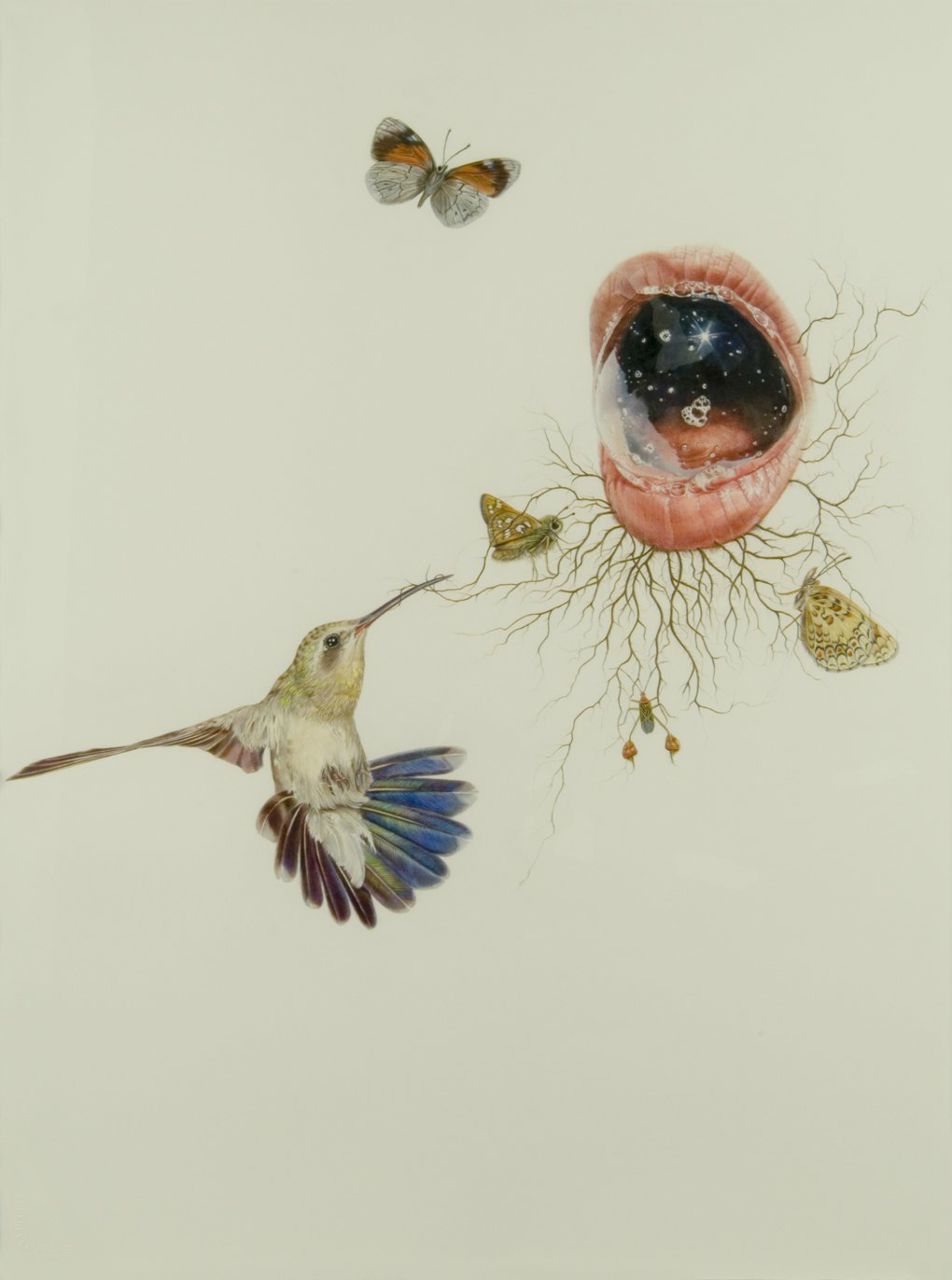 Виктория Кременко | 