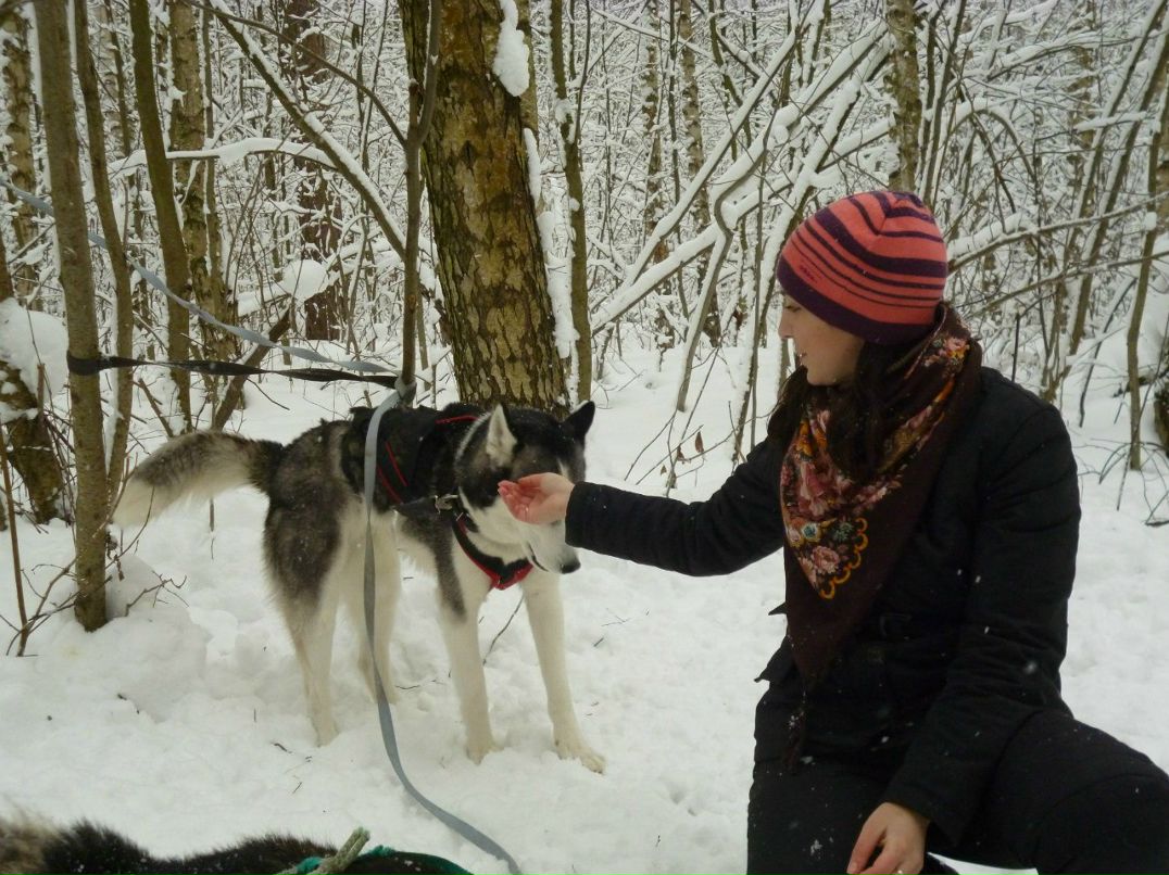 Анна Романенкова | Ногинск