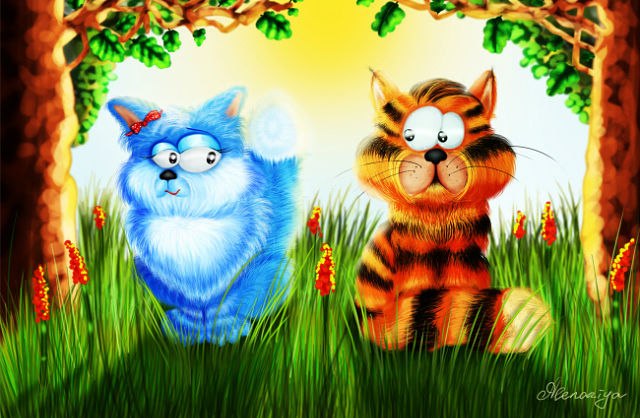 Светлана Новак | Киев