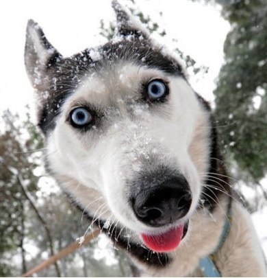 Сергей Ходак | Санкт-Петербург
