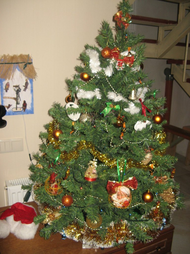 Наташа Колтунова | Киев