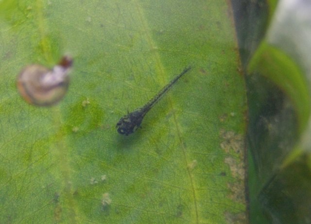 Василий Иванович | Казань