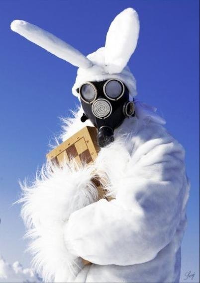 Кристина Горинова | Санкт-Петербург