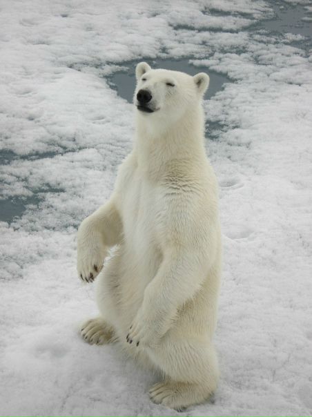 №12, Вячеслав Милхен №12, Вячеслав Милхен