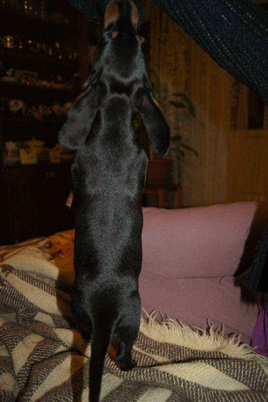 Сергей Кулишин | Москва