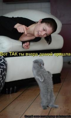 №14, Ирина Марийченко, 40 лет, Днепр (Днепропетровск) №14, Ирина Марийченко, 40 лет, Днепр (Днепропетровск)