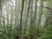 Miyvarxar Miyvarxar фотография #27