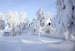 Софа Кулиева фотография #9