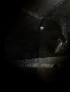Фотография Shadow Jack