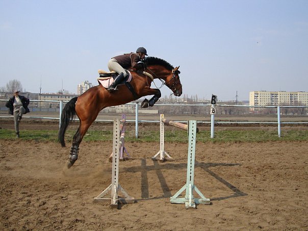 №122, Оксана Рык, Саратов №122, Оксана Рык, Саратов