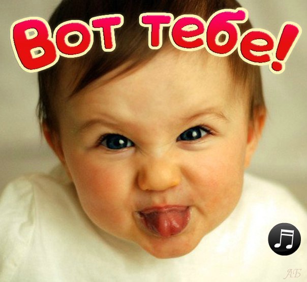 Софія Купчик | 