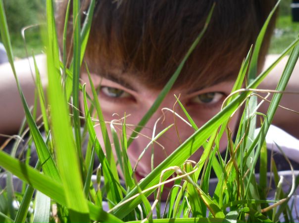 №16, Альберт Воеводин, 25.06.1999, Санкт-Петербург №16, Альберт Воеводин, 25.06.1999, Санкт-Петербург