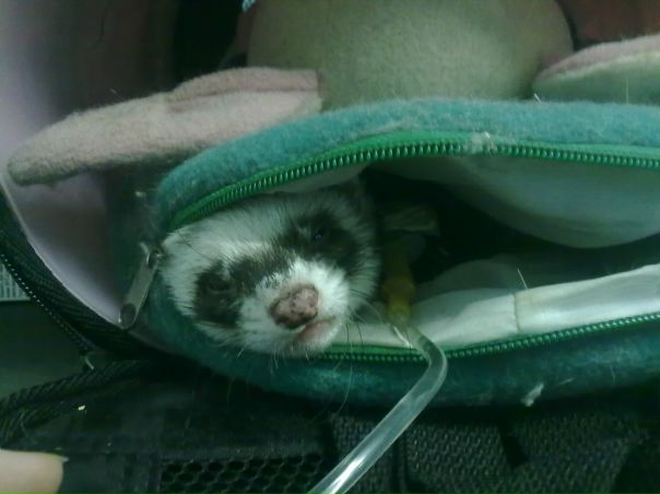 №116, Хэйт Лера, Москва №116, Хэйт Лера, Москва