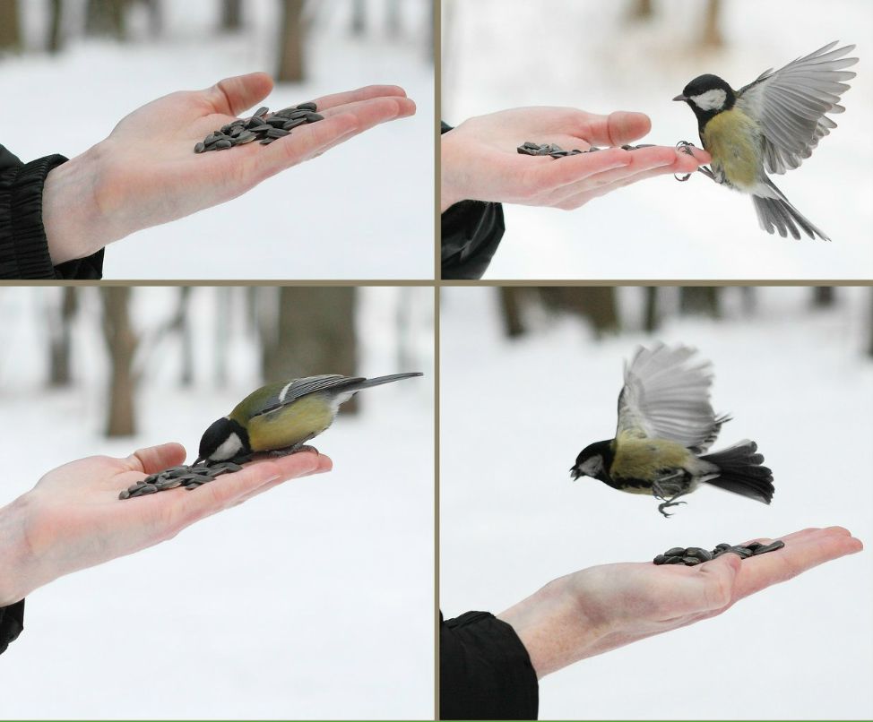 Роман Маслюковский | Житомир