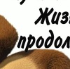 Фотография Мария Катаева