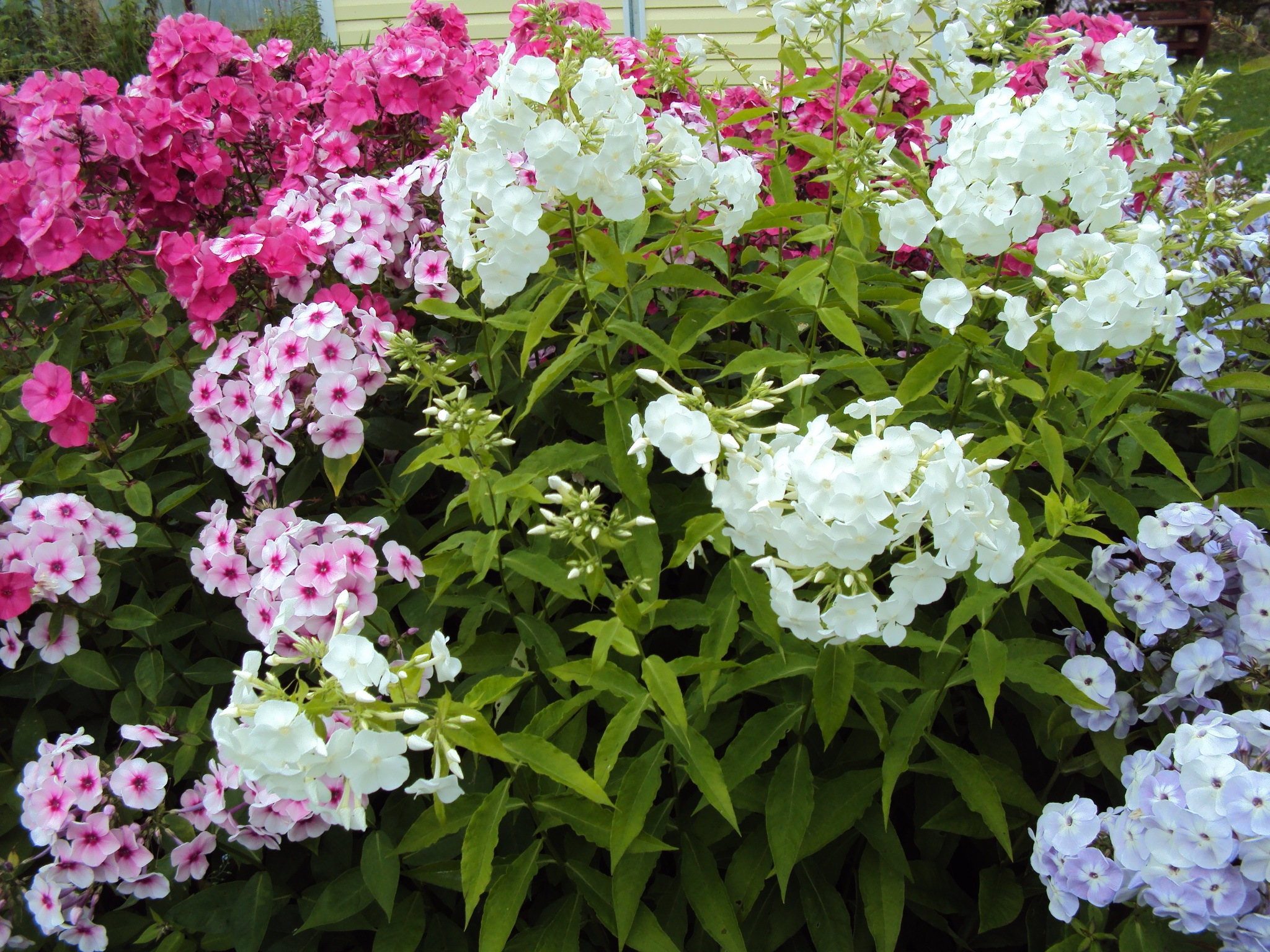 Татьяна Китайкина - Поиск людей