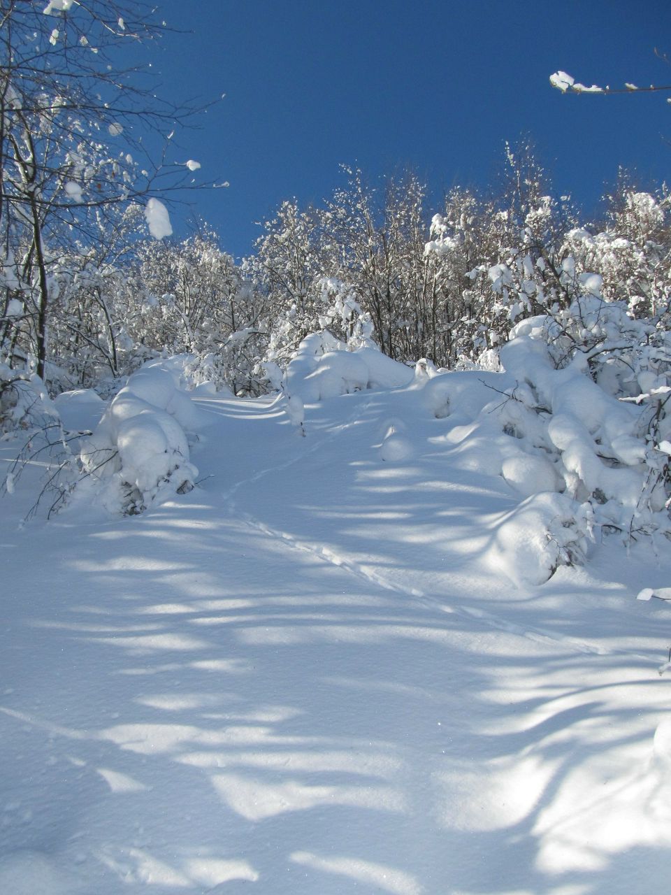 Руслана Пинчук Рыженькая | Киев