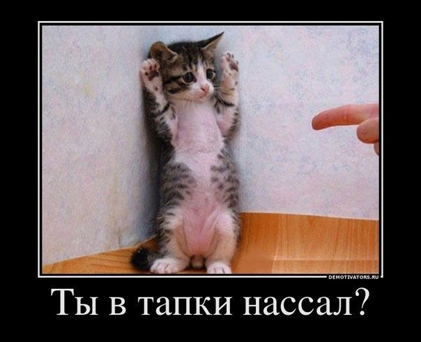 Жанна Яковлева | Санкт-Петербург