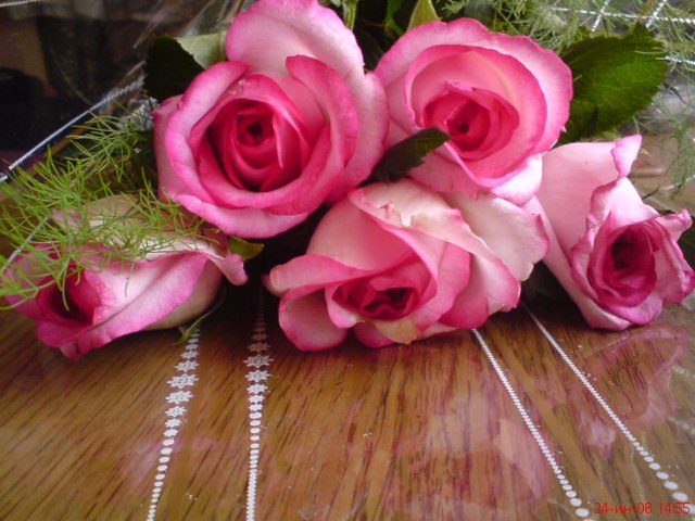 Анастасия Тимощук Юриивна | Днепр (Днепропетровск)